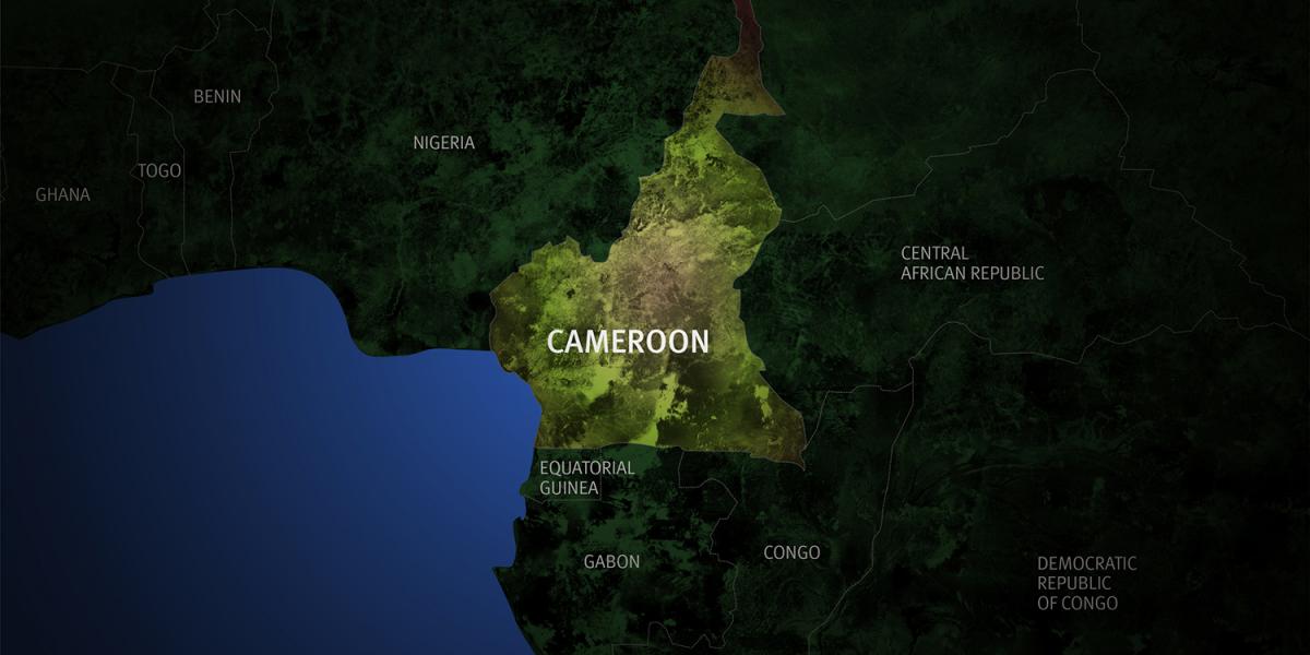 tourism industry in cameroon